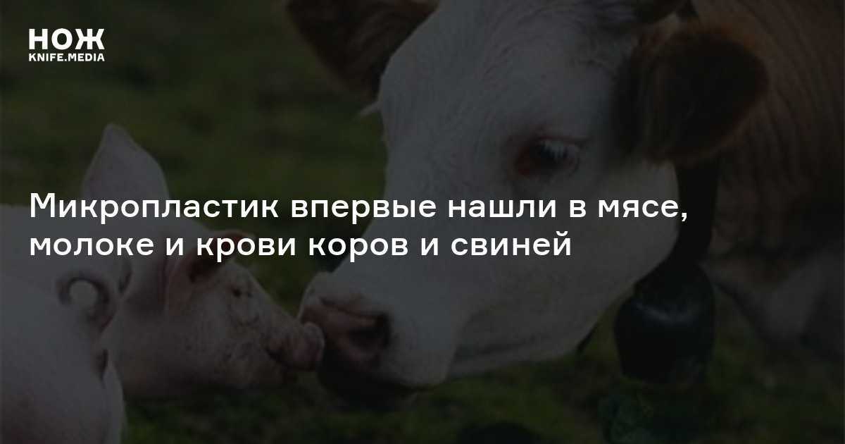Экологическая катастрофа: 10 шокирующих фактов о микропластике