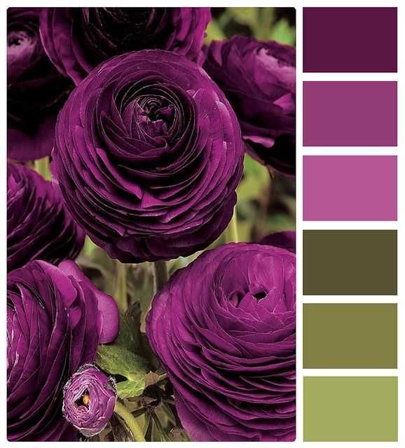Фиолетовые тени для век: особенности и фото