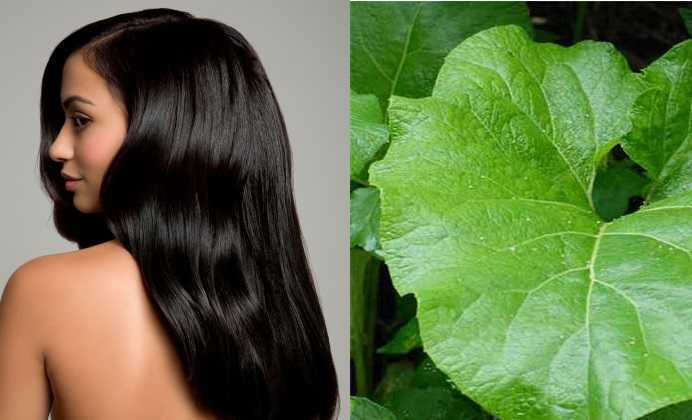 Самые эффективные травы от выпадения волос и способы их применения
