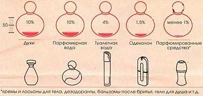 Как наносить туалетную воду. Правильное нанесение духов. Места для нанесения парфюма. Куда наносить Парфюм. Места нанесения духов.